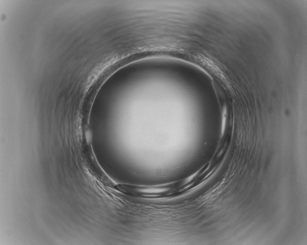 X0000059800676200510211052