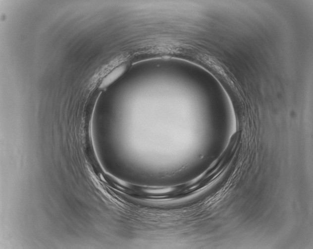 X0000059800677200510211052