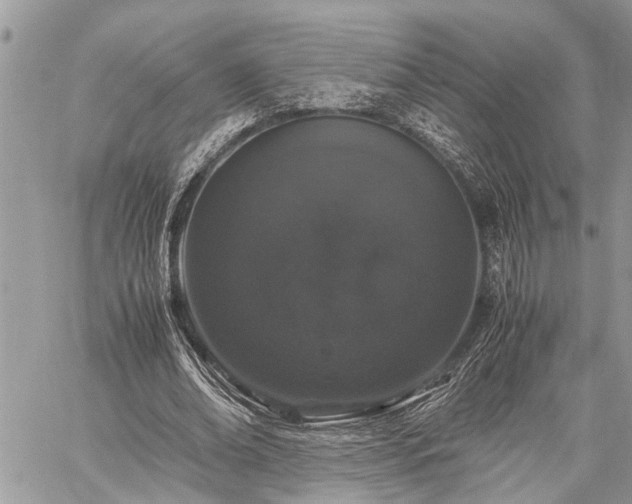 X0000059800678200510211052