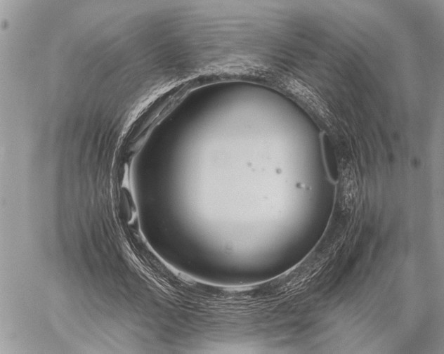 X0000059800680200510211052