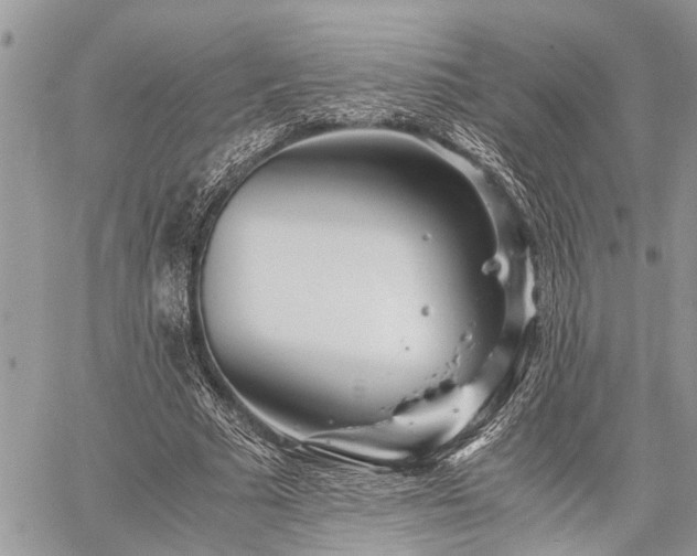 X0000059800681200510211052