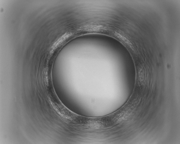 X0000059800682200510211052