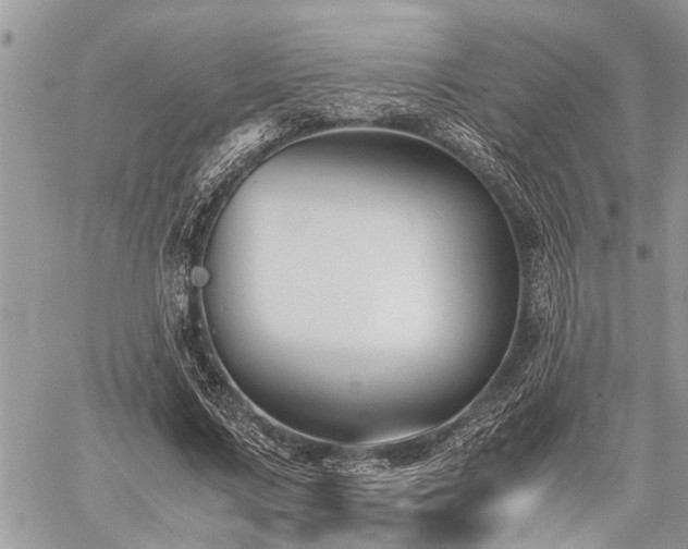 X0000059800683200510211052