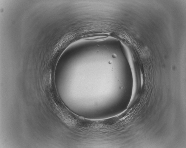 X0000059800685200510211052