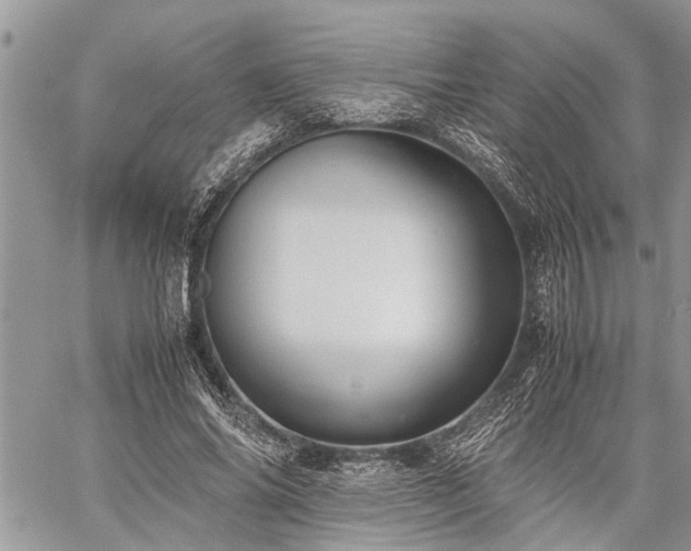 X0000059800686200510211052