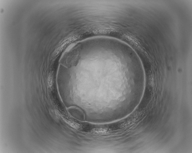 X0000059800687200510211052