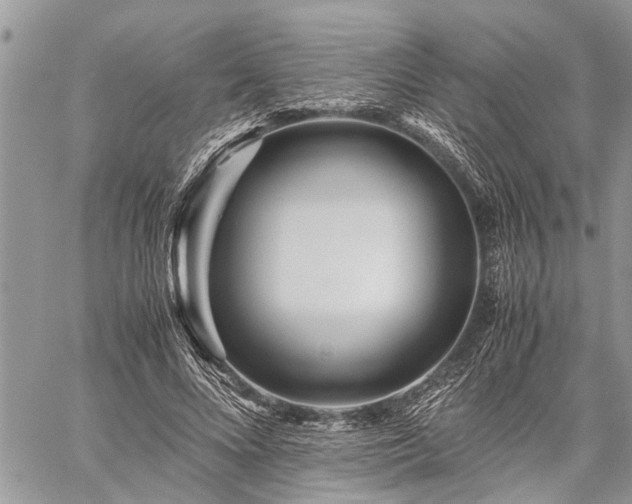 X0000059800688200510211052