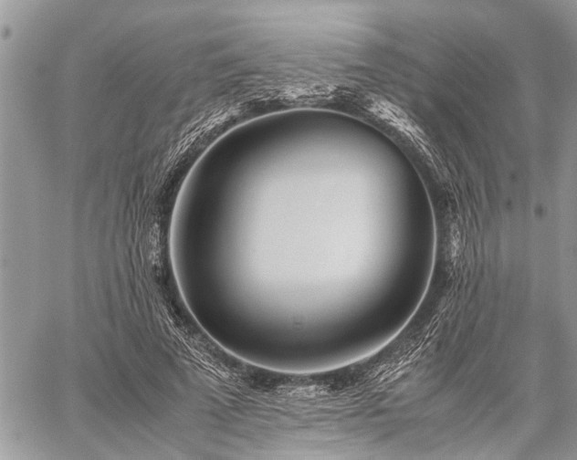 X0000059800689200510211052