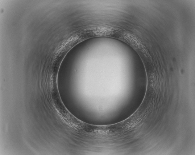 X0000059800690200510211052