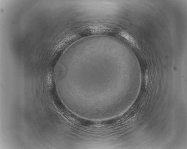 X0000059800691200510211052