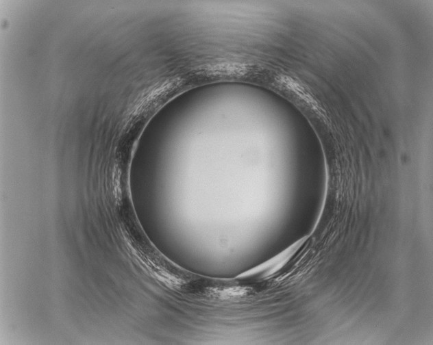 X0000059800692200510211052