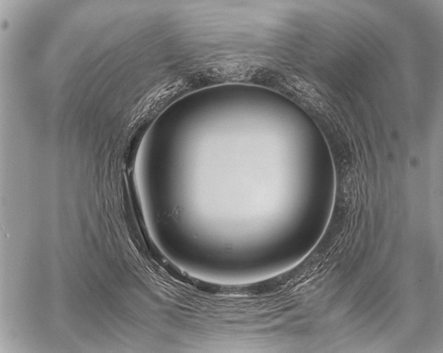 X0000059800693200510211052