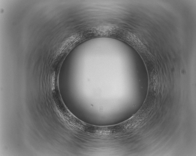 X0000059800694200510211052