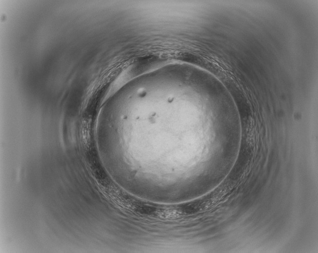 X0000059800695200510211052