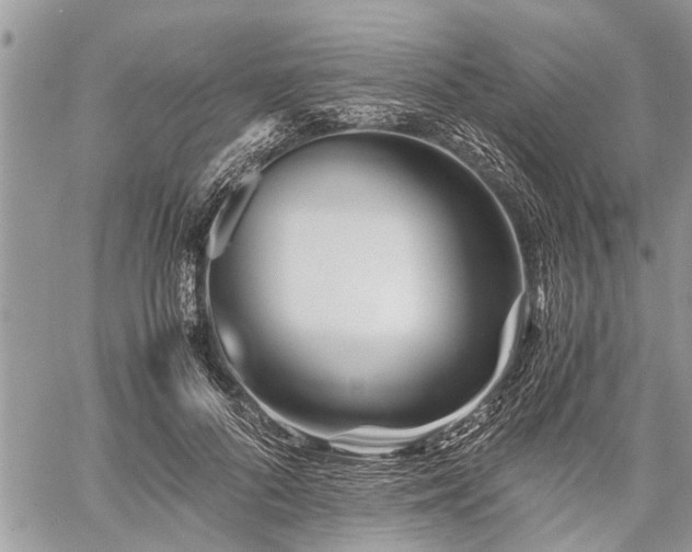 X0000059800696200510211052