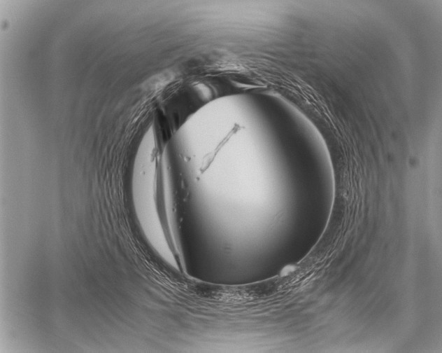 X0000059800697200510211052