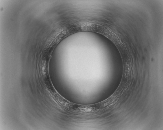 X0000059800698200510211052