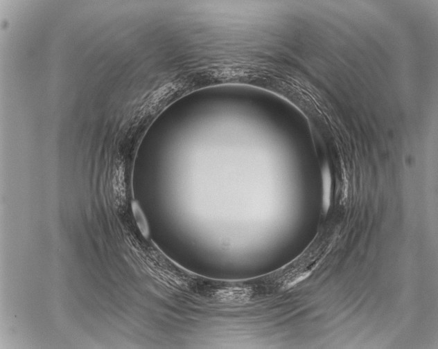 X0000059800700200510211052