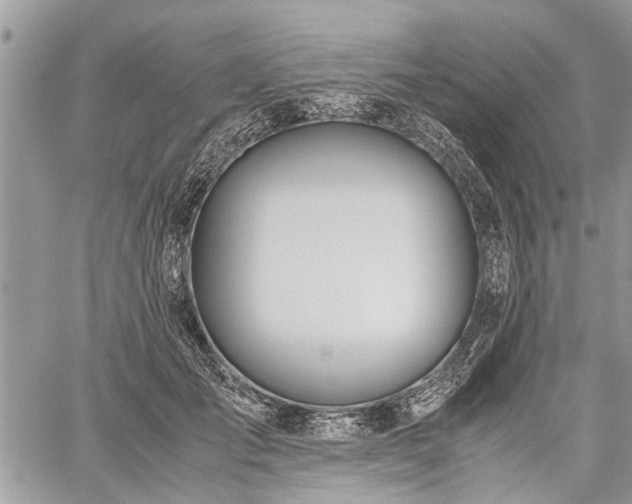 X0000059800701200510211052