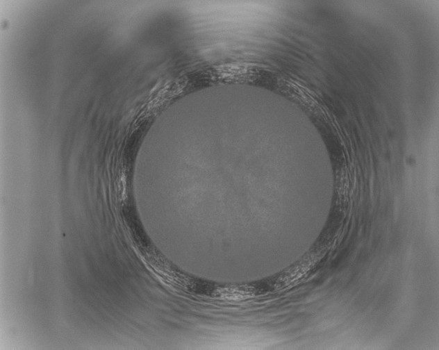 X0000059800703200510211052