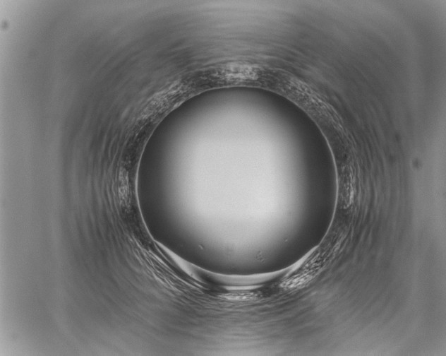 X0000059800704200510211052