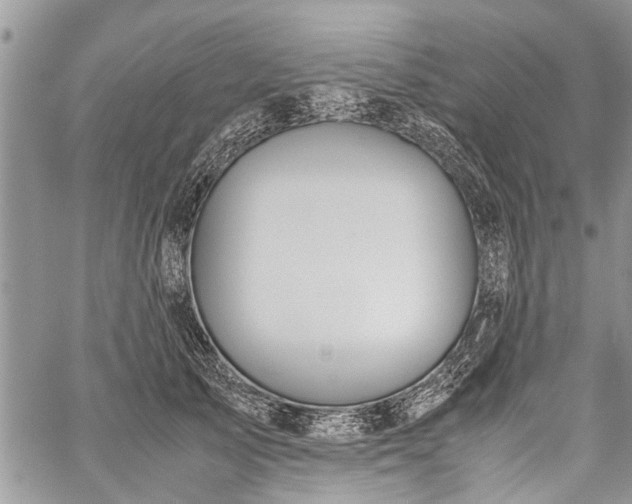 X0000059800705200510211052