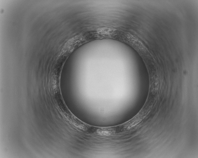 X0000059800706200510211052