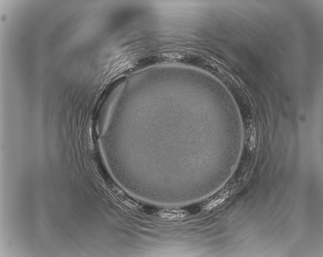 X0000059800707200510211052