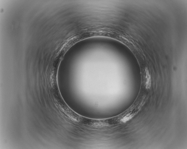 X0000059800708200510211052