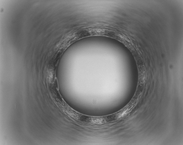 X0000059800709200510211052