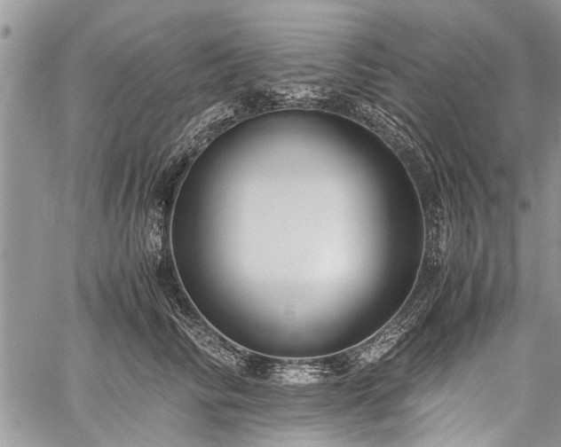 X0000059800710200510211052