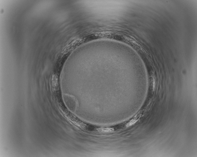 X0000059800711200510211052