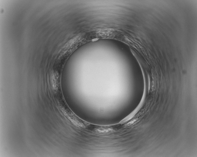 X0000059800712200510211052