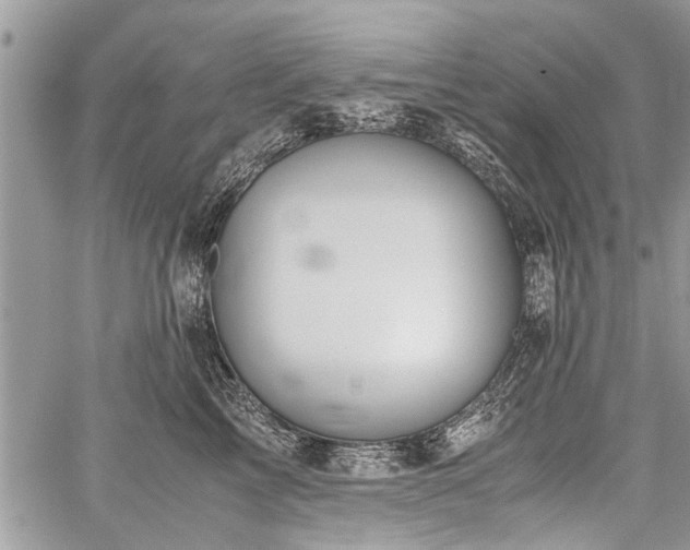 X0000059800713200510211052