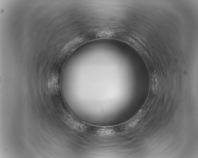 X0000059800714200510211052