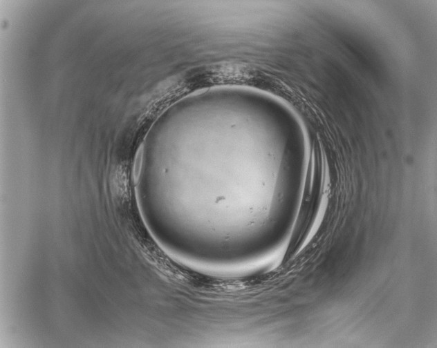 X0000059800715200510211052