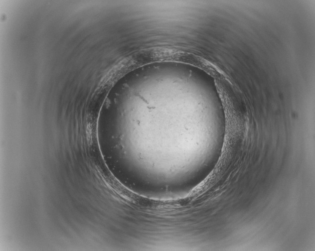 X0000059800716200510211052