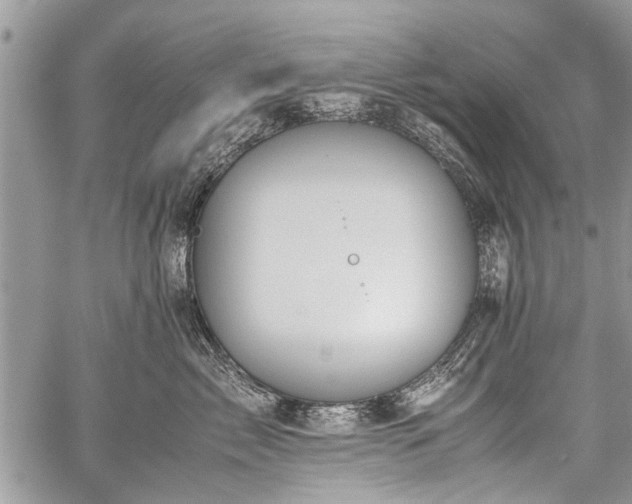 X0000059800717200510211051