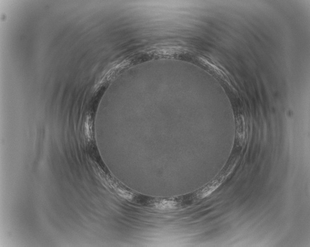 X0000059800718200510211051