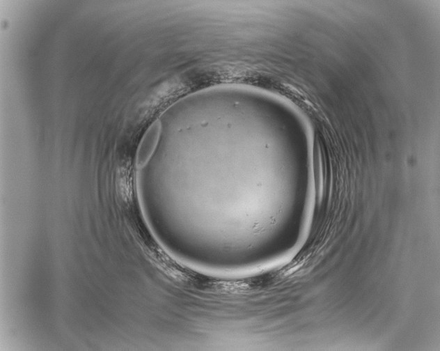 X0000059800719200510211051