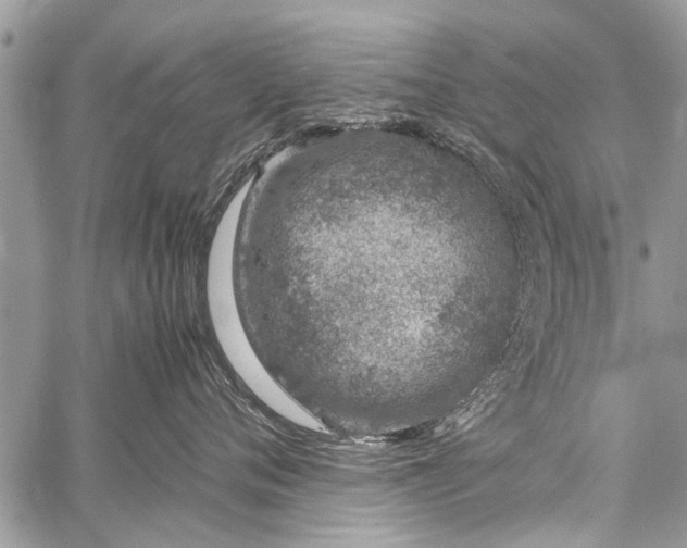 X0000059800720200510211051