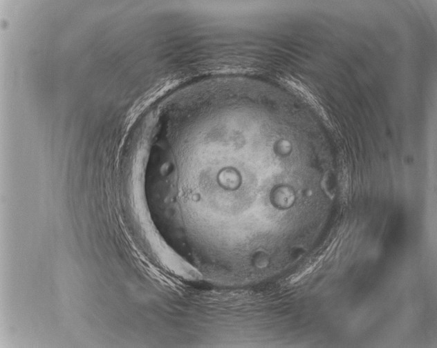 X0000059800721200510211051