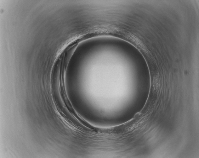 X0000059800722200510211051