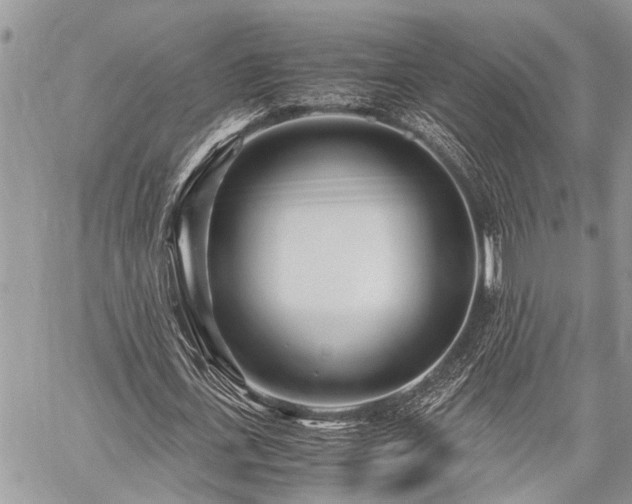 X0000059800723200510211051