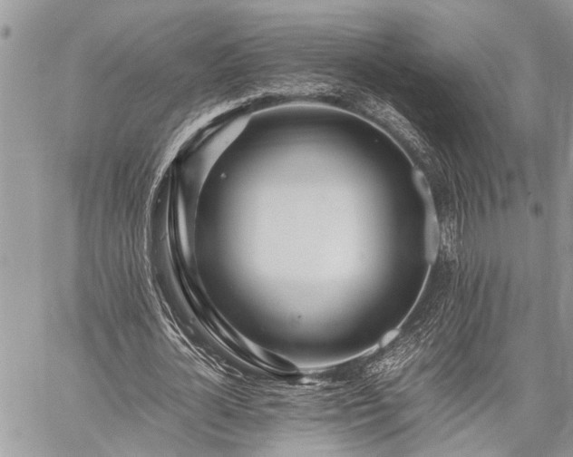 X0000059800724200510211051