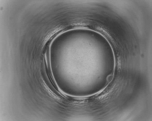 X0000059800725200510211051