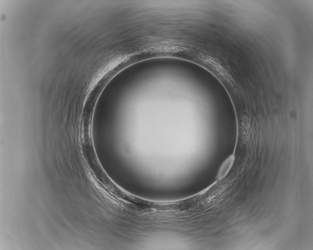 X0000059800726200510211051