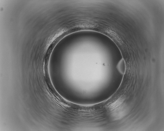 X0000059800727200510211051