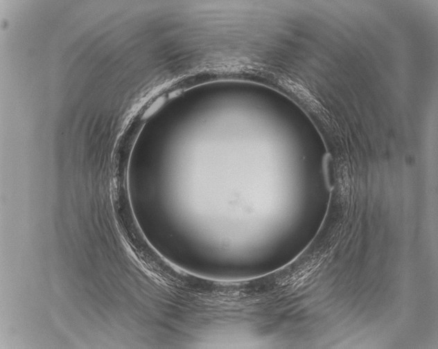 X0000059800728200510211051