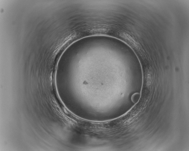 X0000059800729200510211051